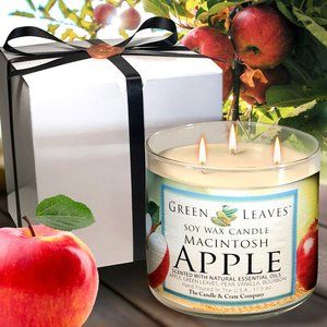 Soy Candle, 3-Wick Candle, Macintosh Apple, Highly Scented, Fall …
